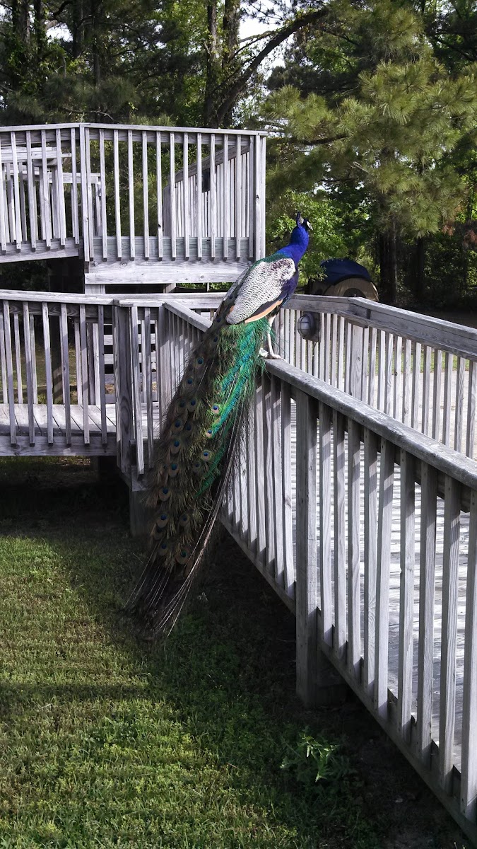 Adventure Bound Campground & Hostel