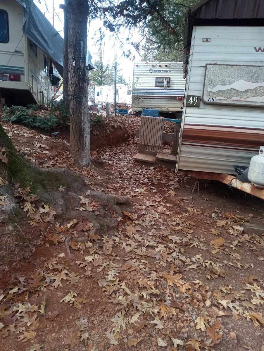 Lake Shasta Pines RV Park