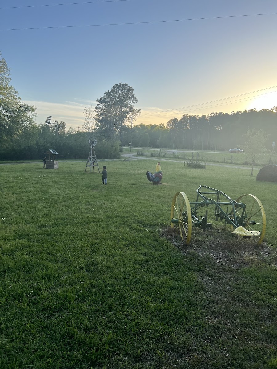 Jenkins HILL Campground