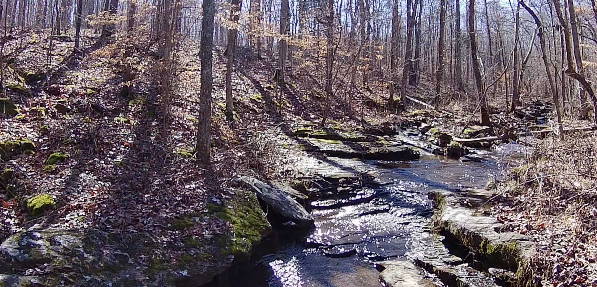 Whispering Harvest Campground