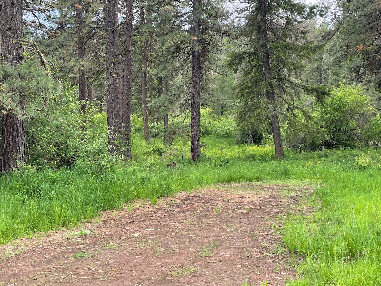 Mountain View, Washington