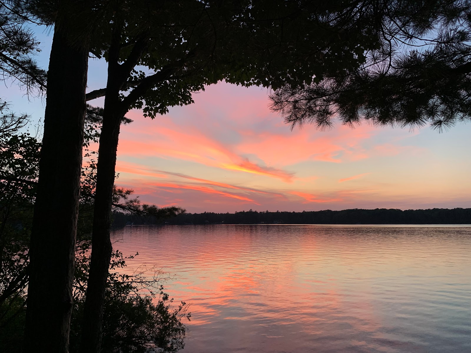 Gooseneck Lake Campsite #4