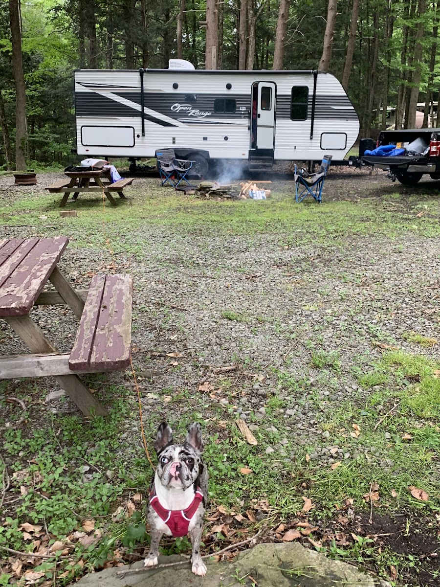 Shady Rest Campground