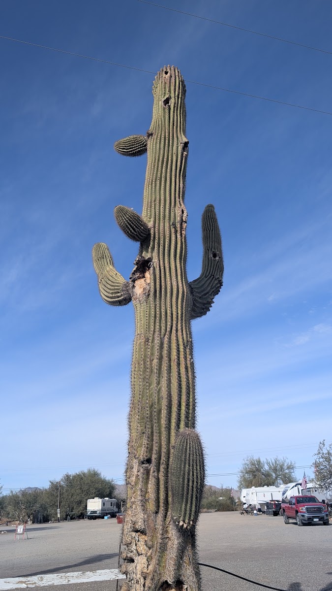 La-Z-Daze RV & Mobile Home Park