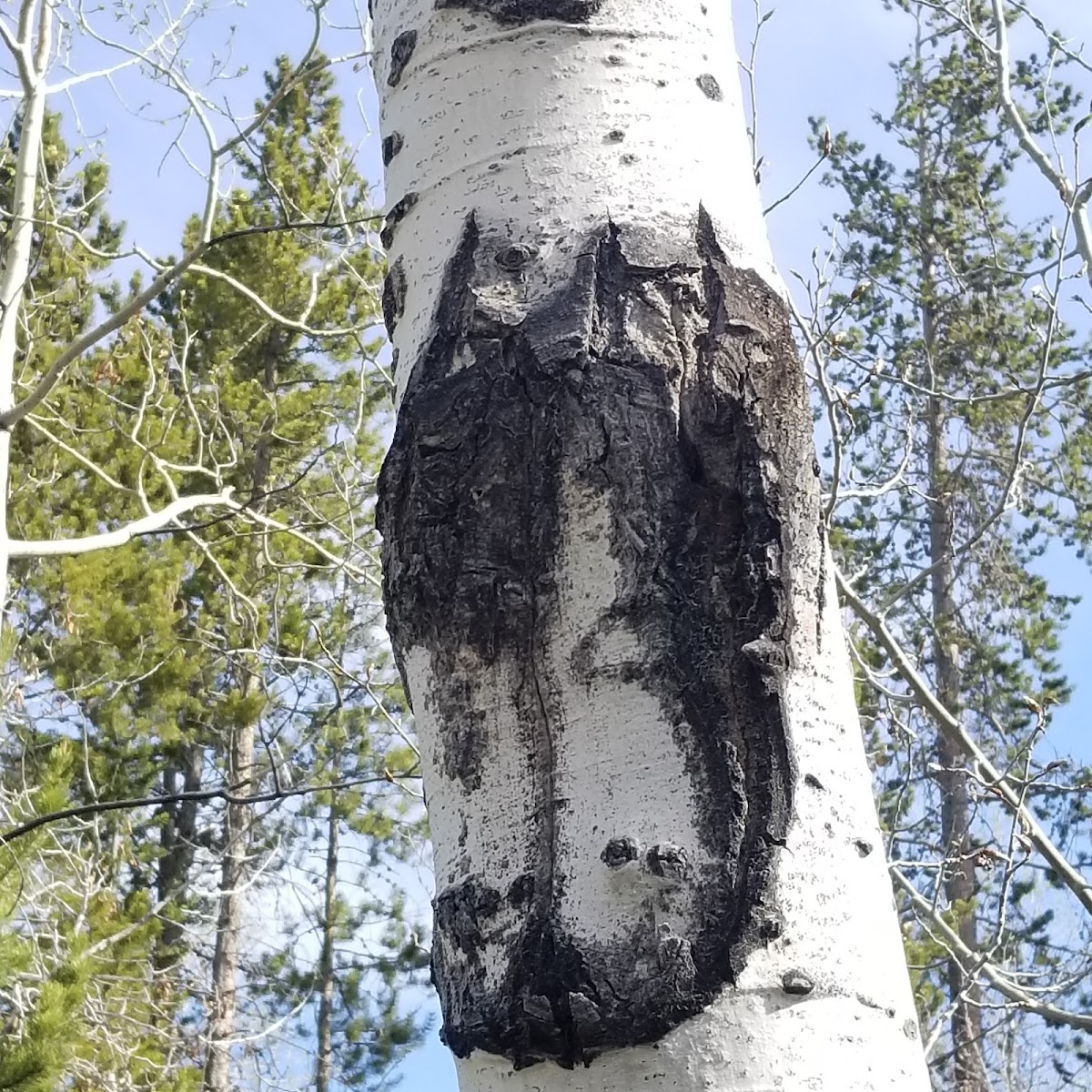 The Narrows Campground