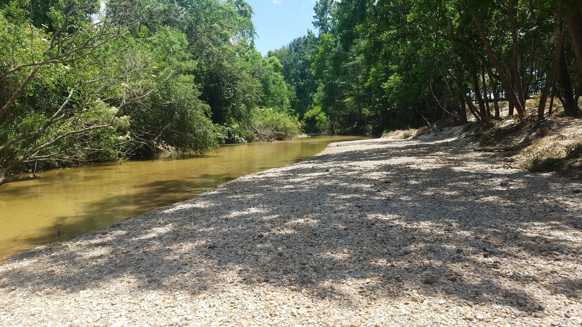 Magnolia RV Park and Family Campground