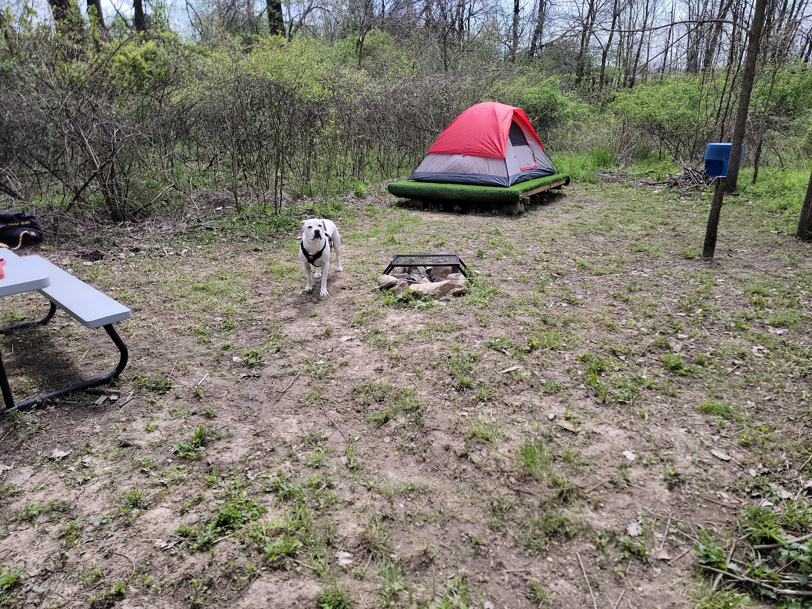 TUCKED AWAY TENTING LLC