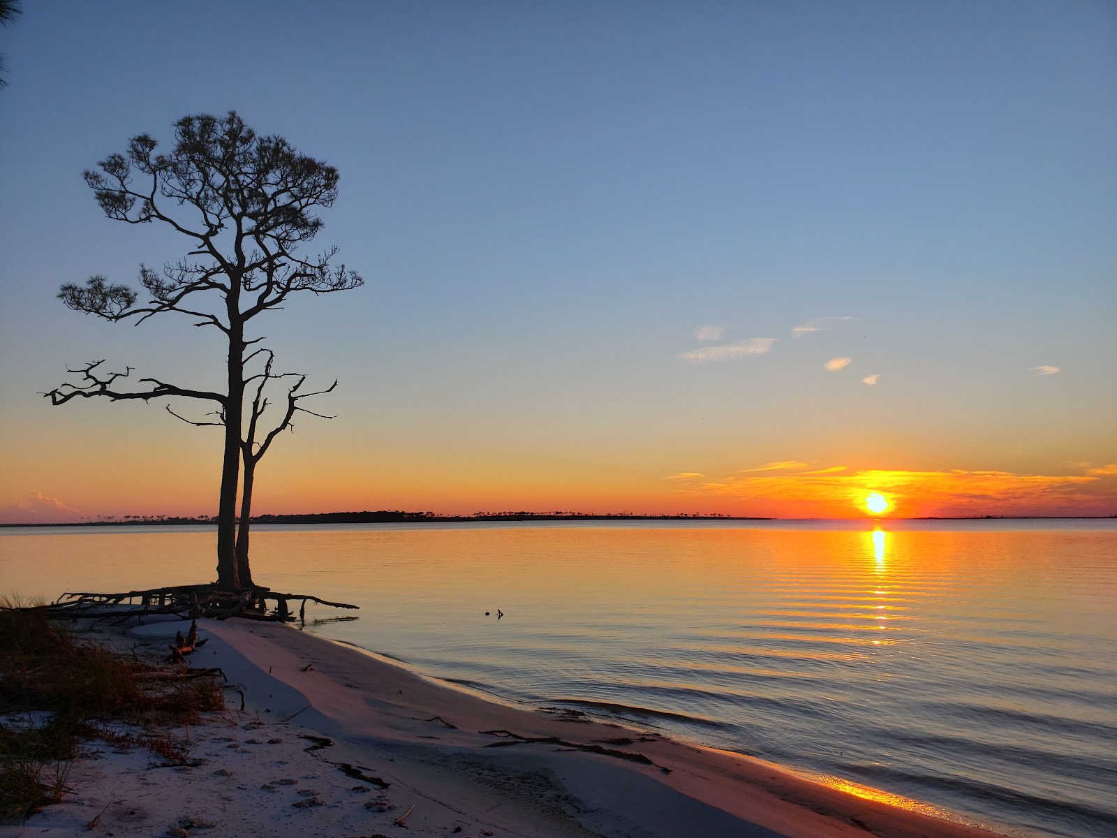 Gap Point Primitive Campsites