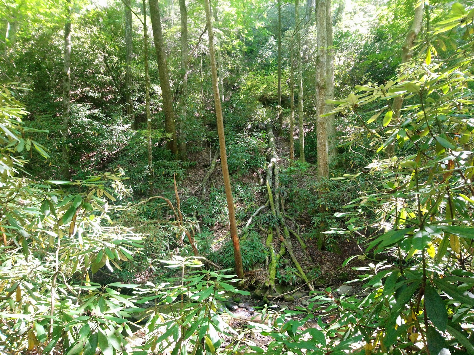 Backcountry Campsite #32