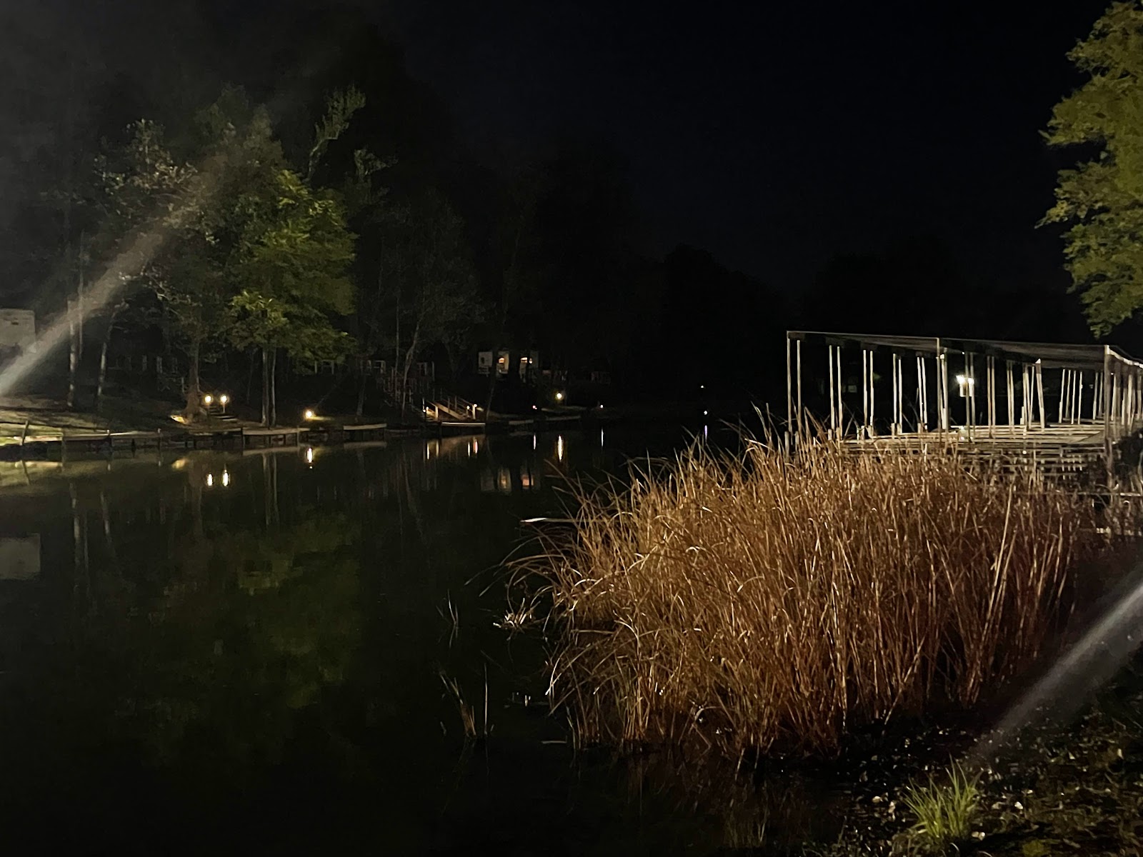 The Vista at the Lake