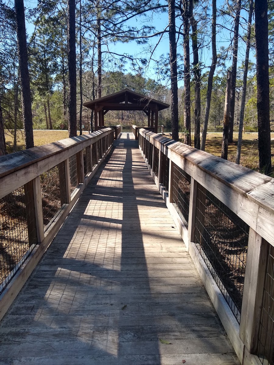 Falling Waters State Park Campground