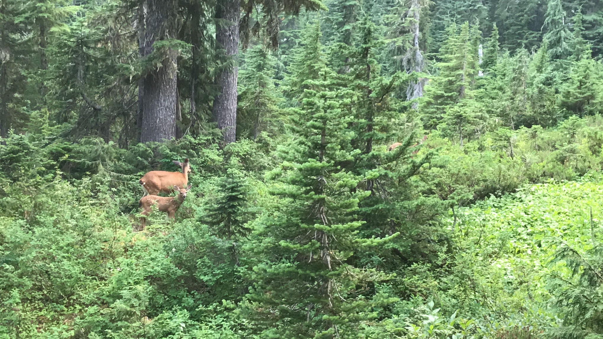 C. B. Flats Group Camp