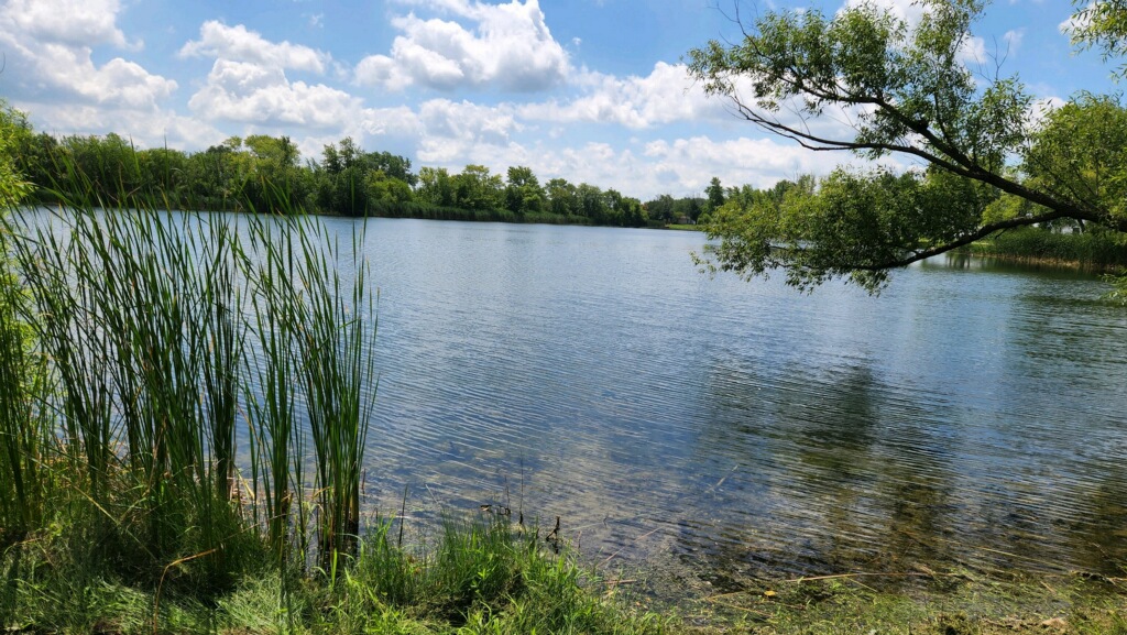 Barking Bear Leisure Park