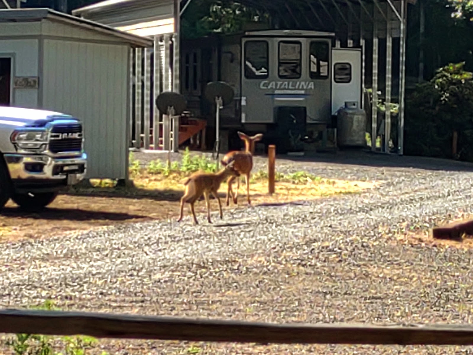 Cowlitz Timber Trails Association