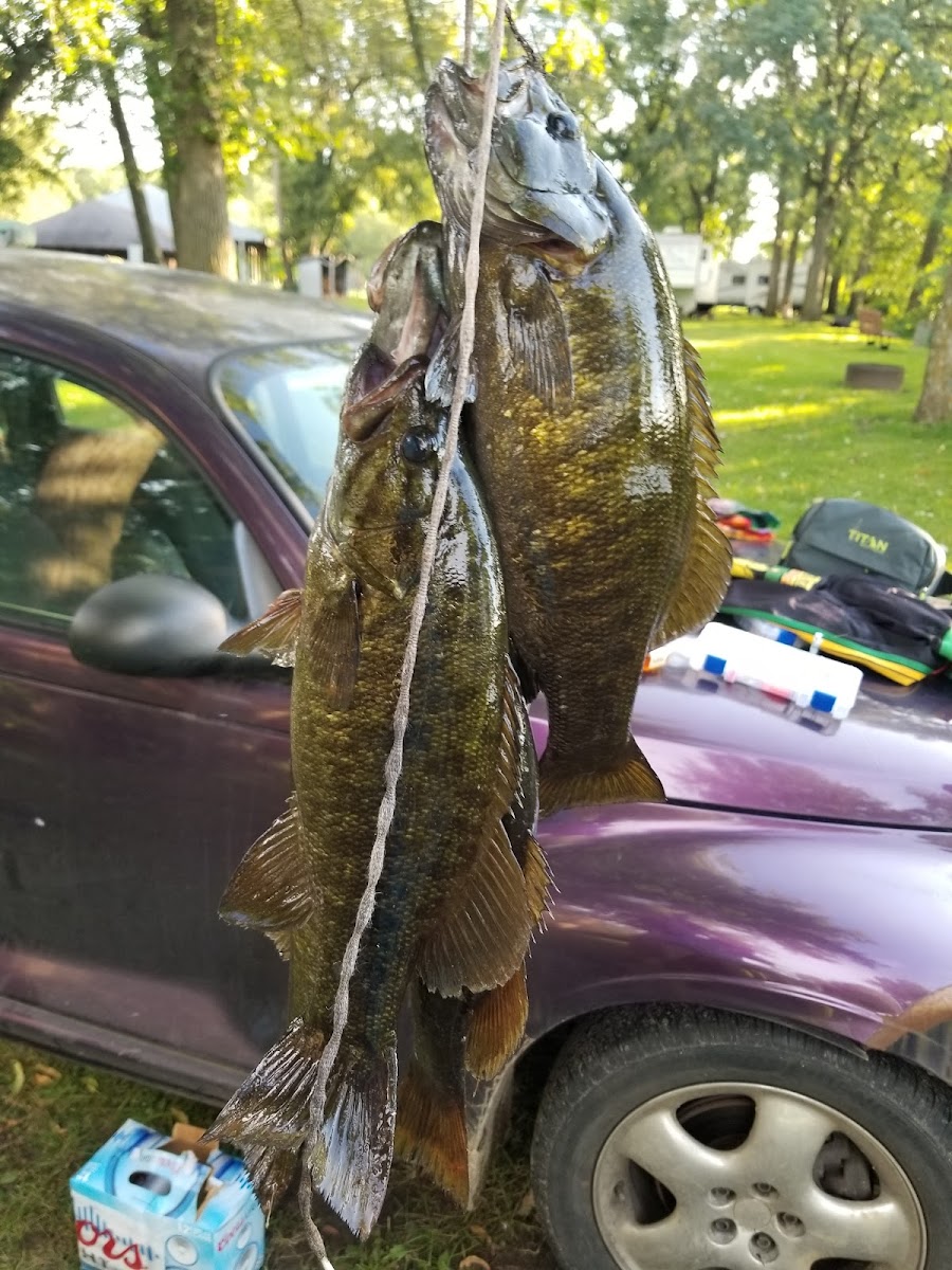 Royalton Sportsmen Grounds (POW WOW Grounds)