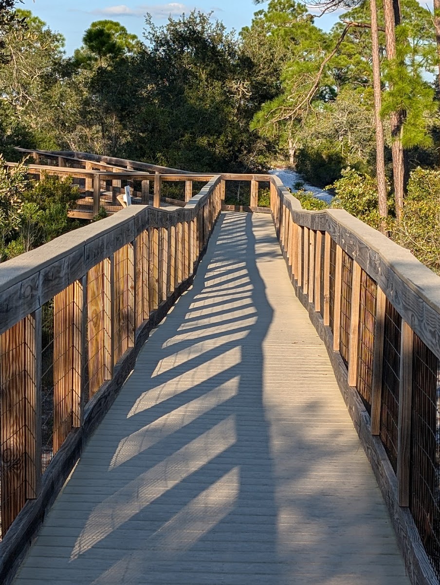 Big Lagoon State Park Campground