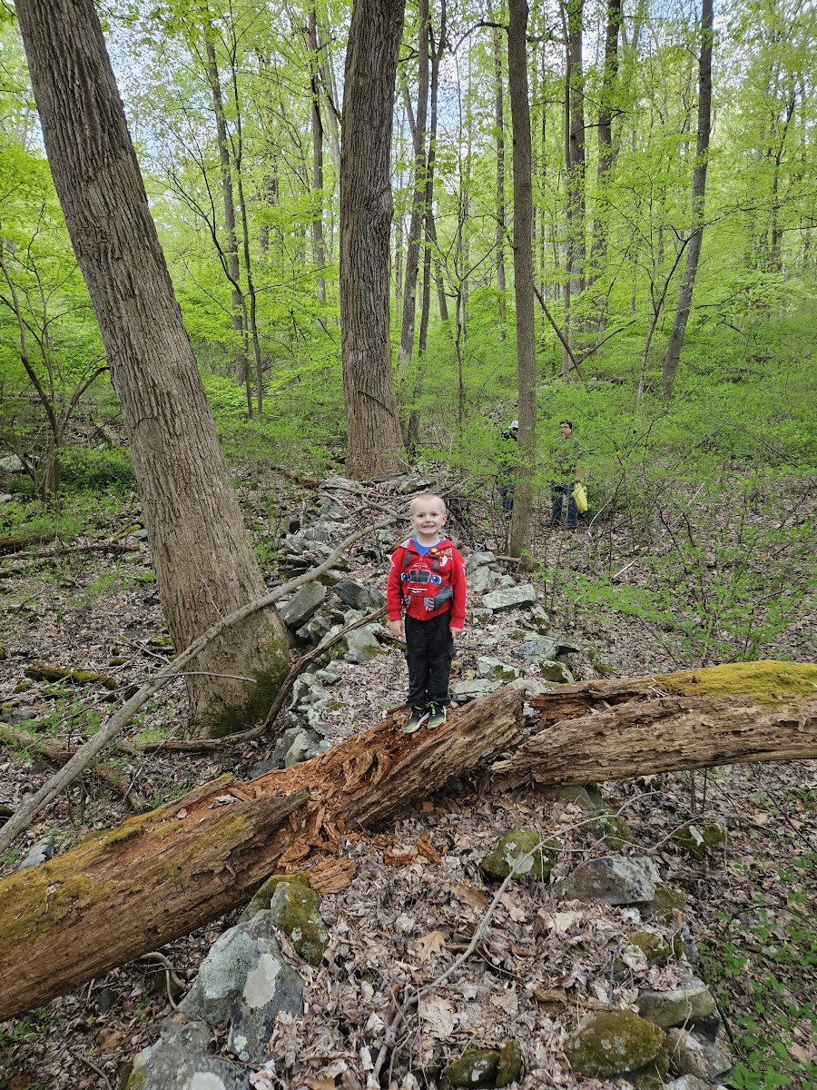 Poplar Grove Youth Group Tent Campground