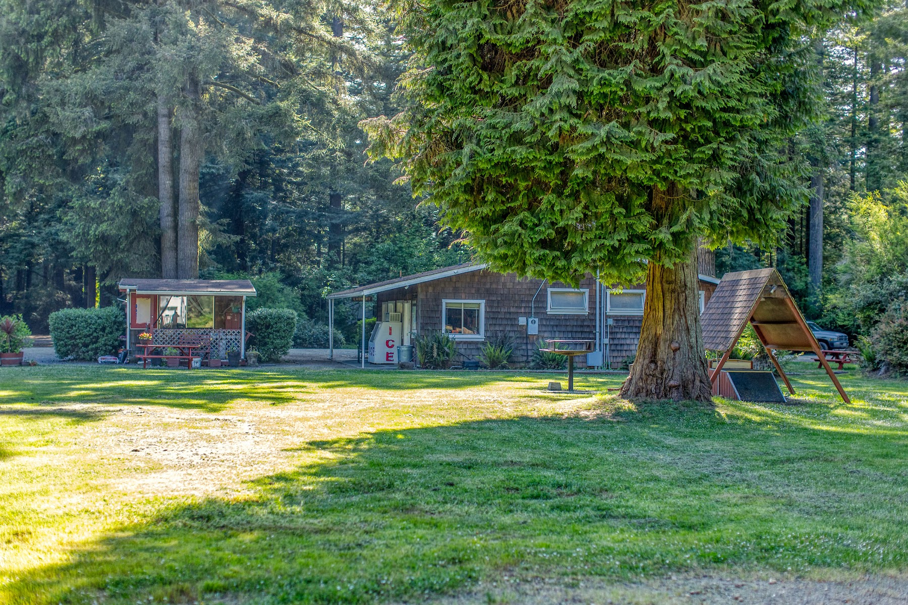 Ramblin' Redwoods Campground and RV Park