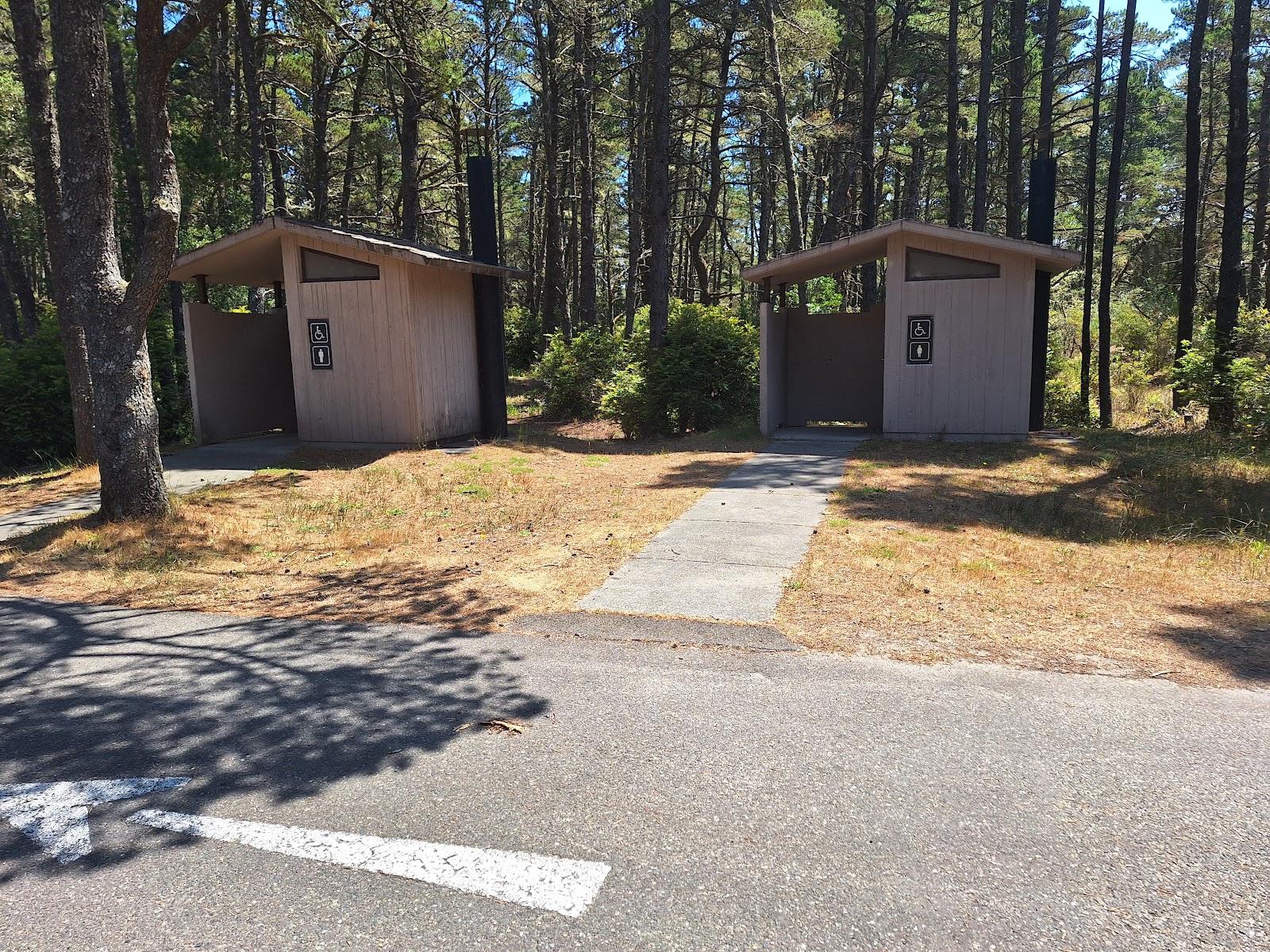 Wild Mare Horse Camp