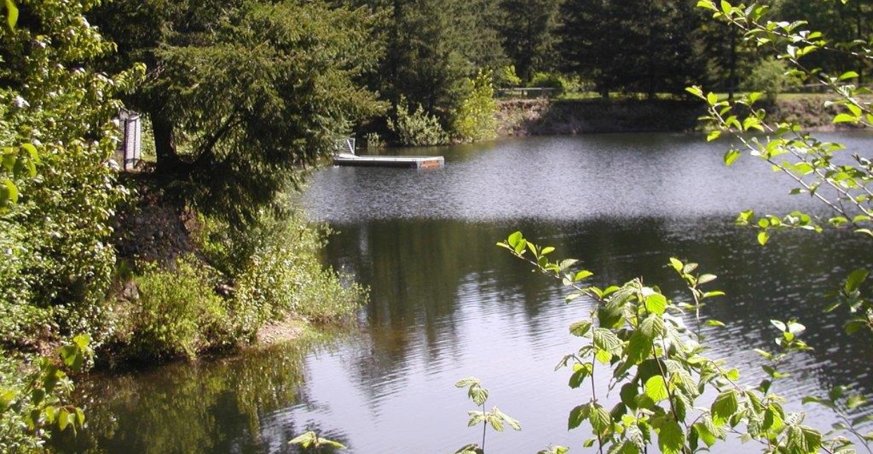 Rykers Retreat Rv Park