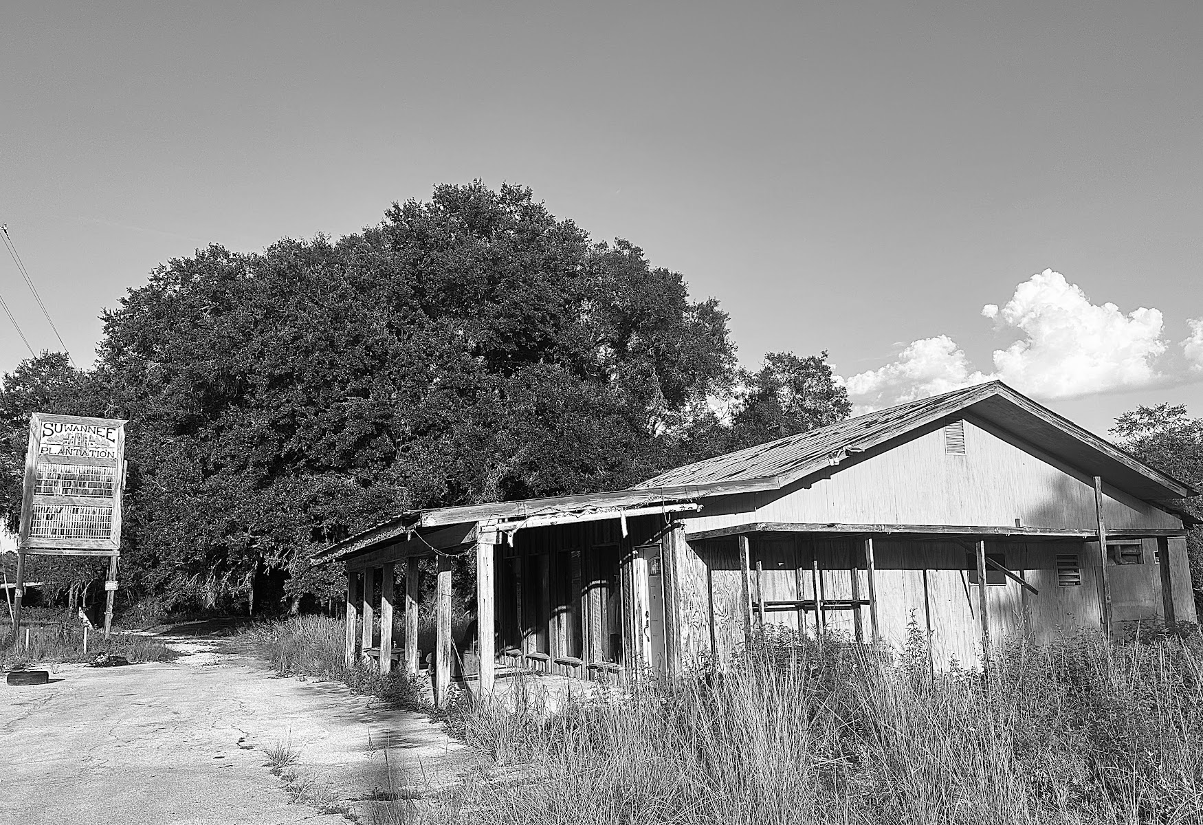 Suwannee Plantation