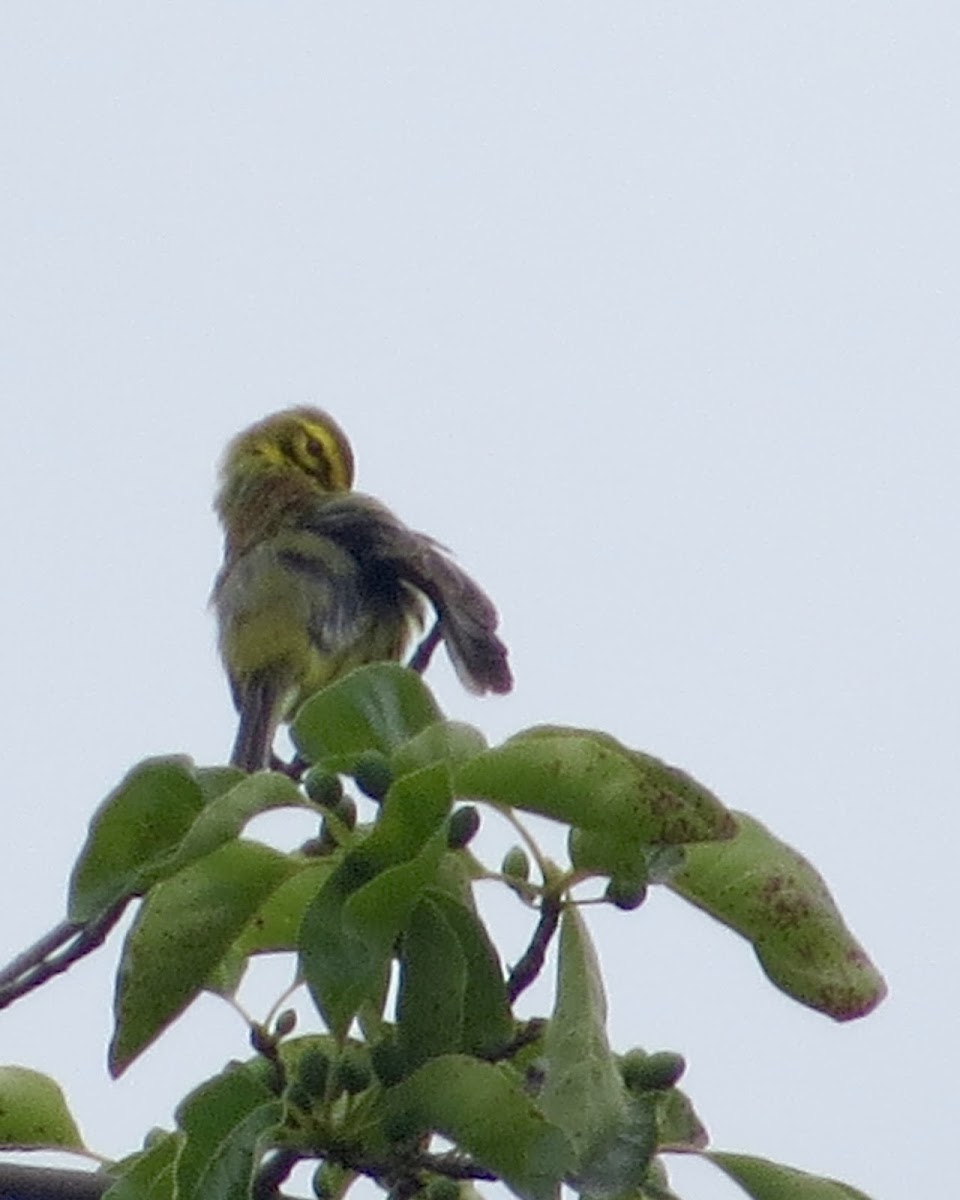 Hawk Recreation Area