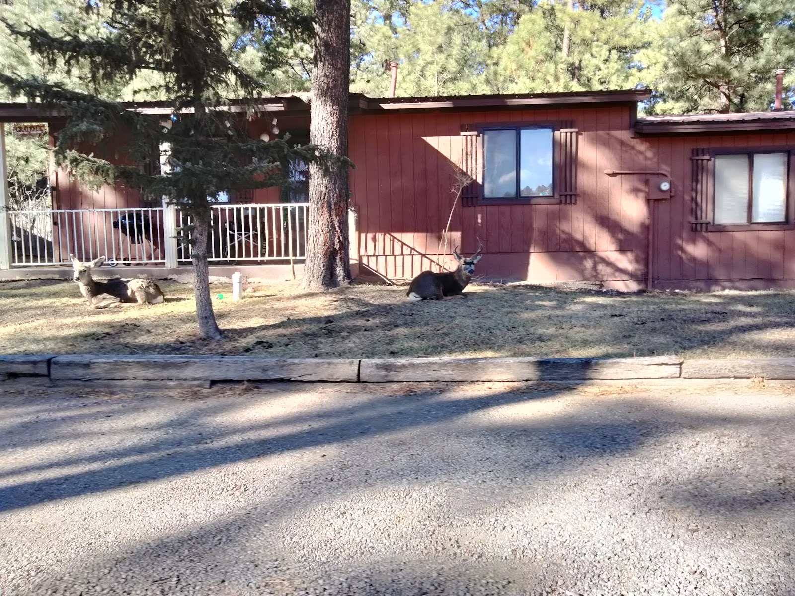 Shaw's Apartments & RV Park