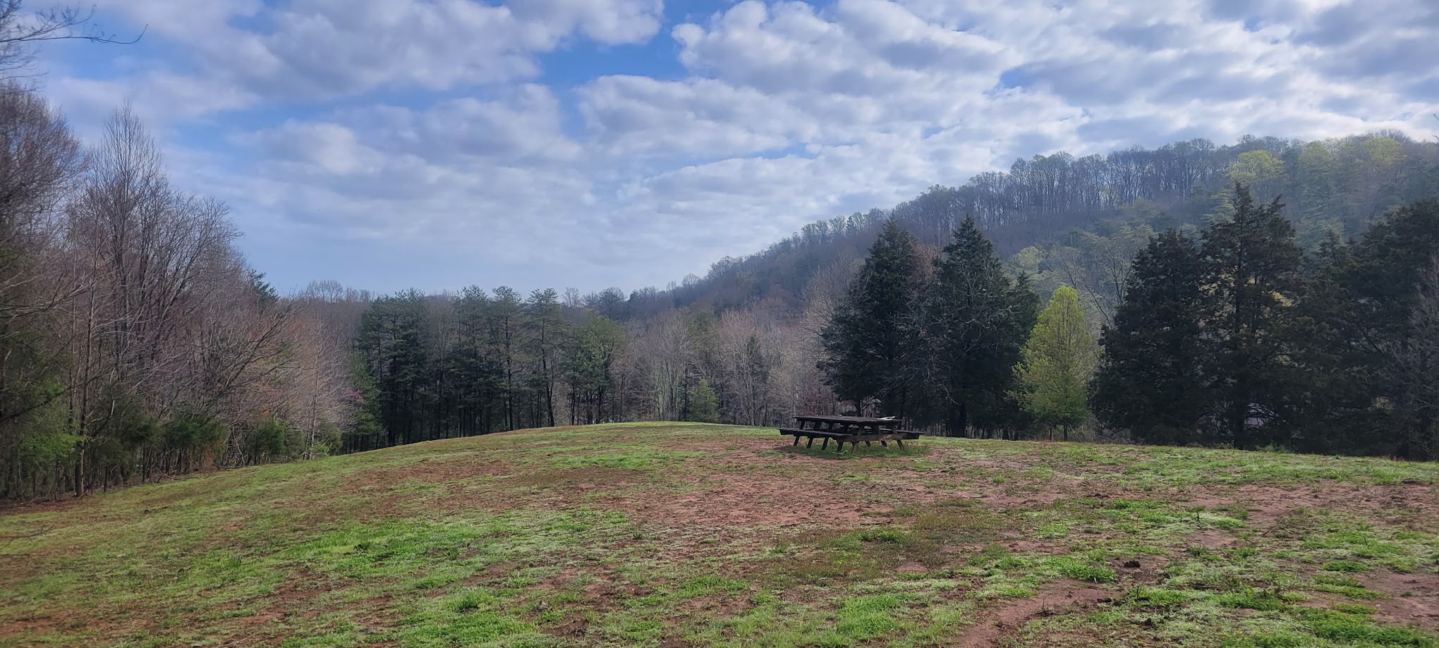 The Meadow @ Burnsy Acres