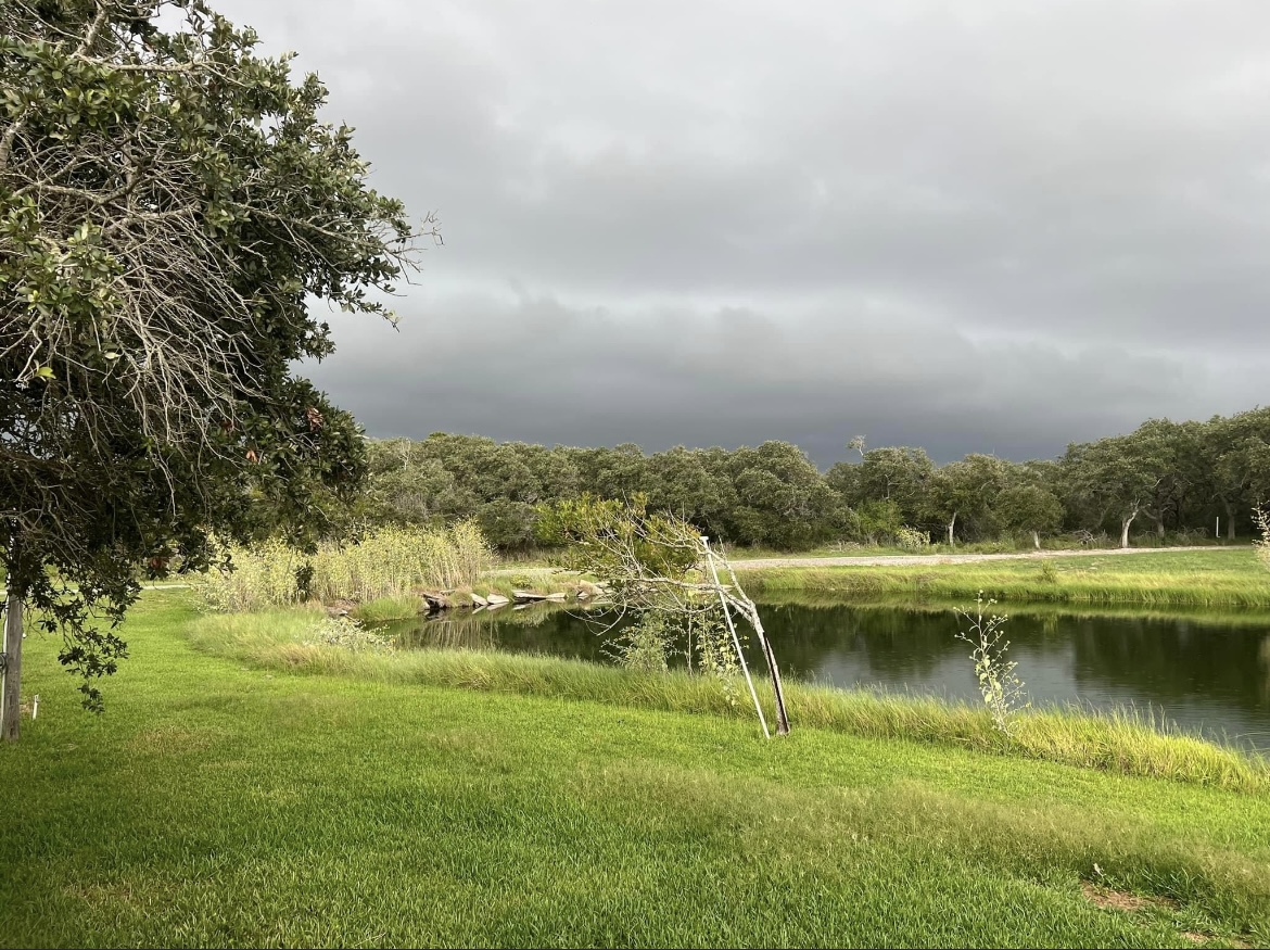 The Lazy Goose RV Park and Storage