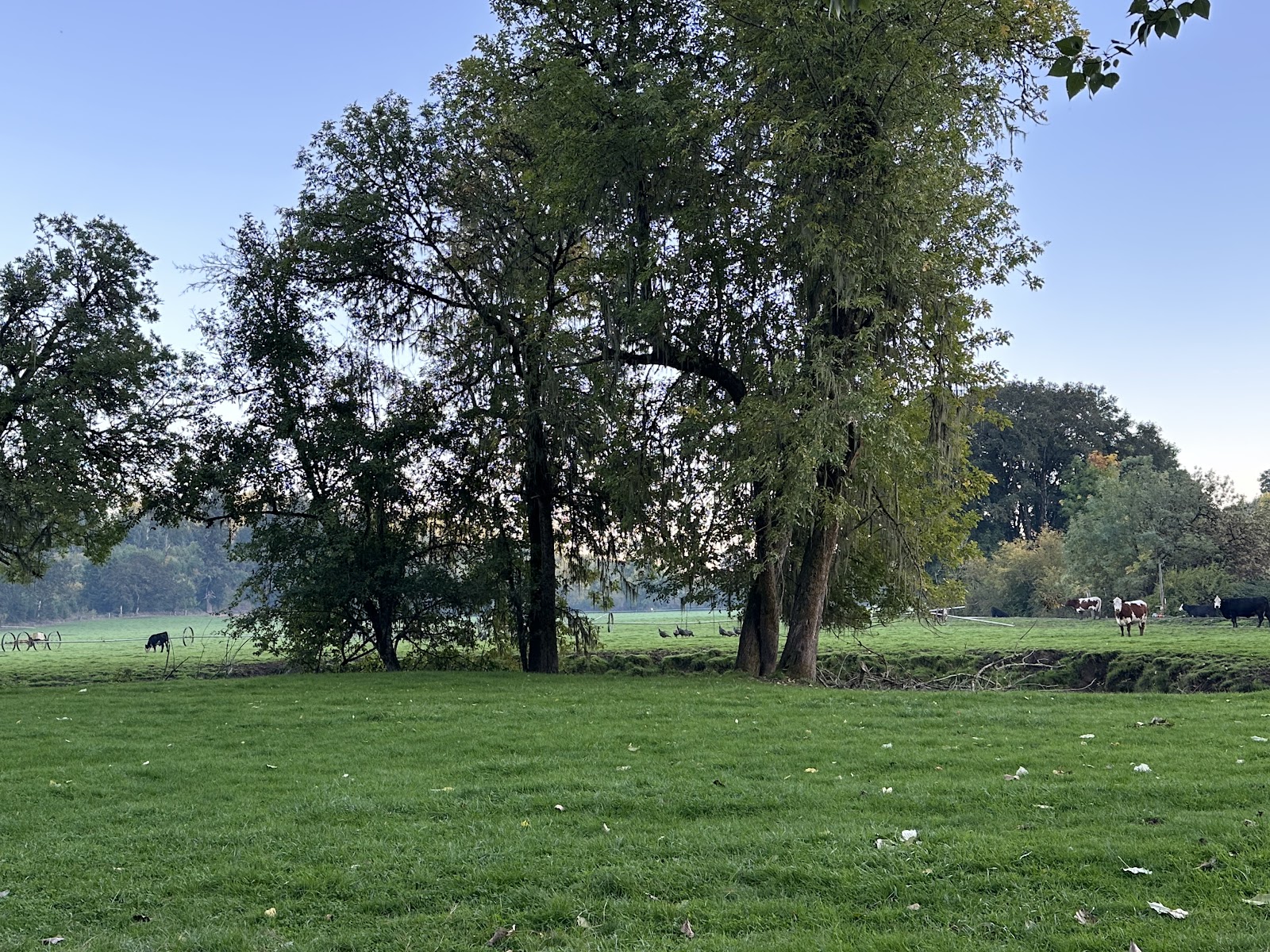 Slow Your Roll Abodes Glamping