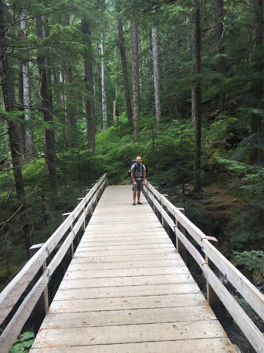 Upper Sol Duc Bridge
