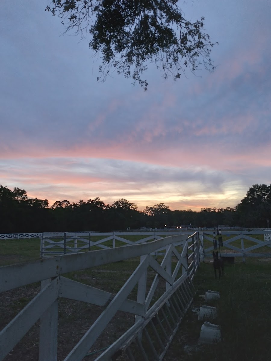 Five Flags Ranch at Pony Land and RV Motorhome Parking Spaces