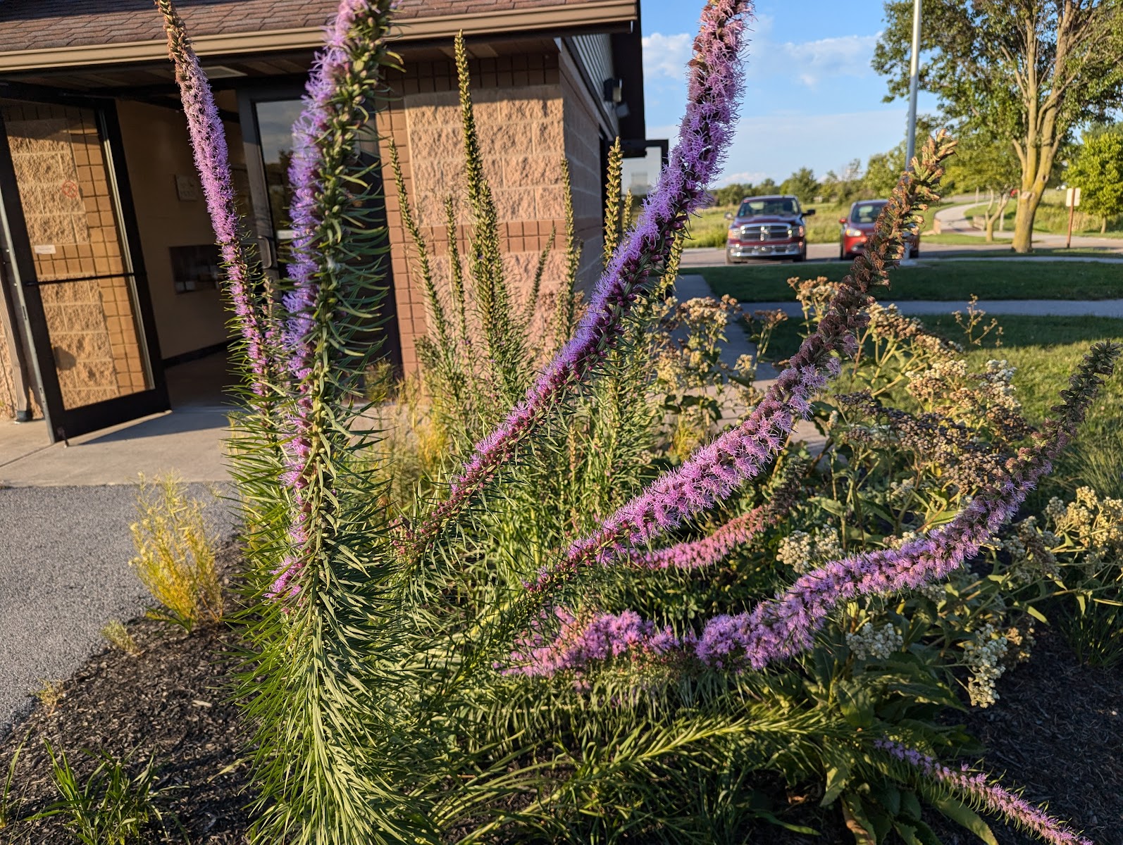 Ottawa Metro Park Campground
