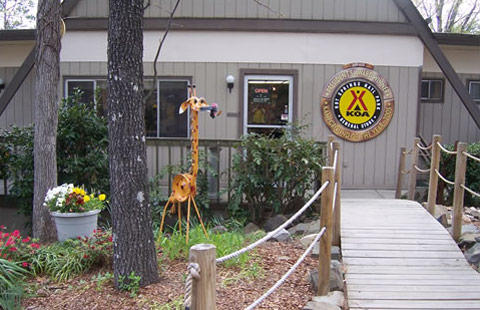 Hot Springs National Park KOA Holiday