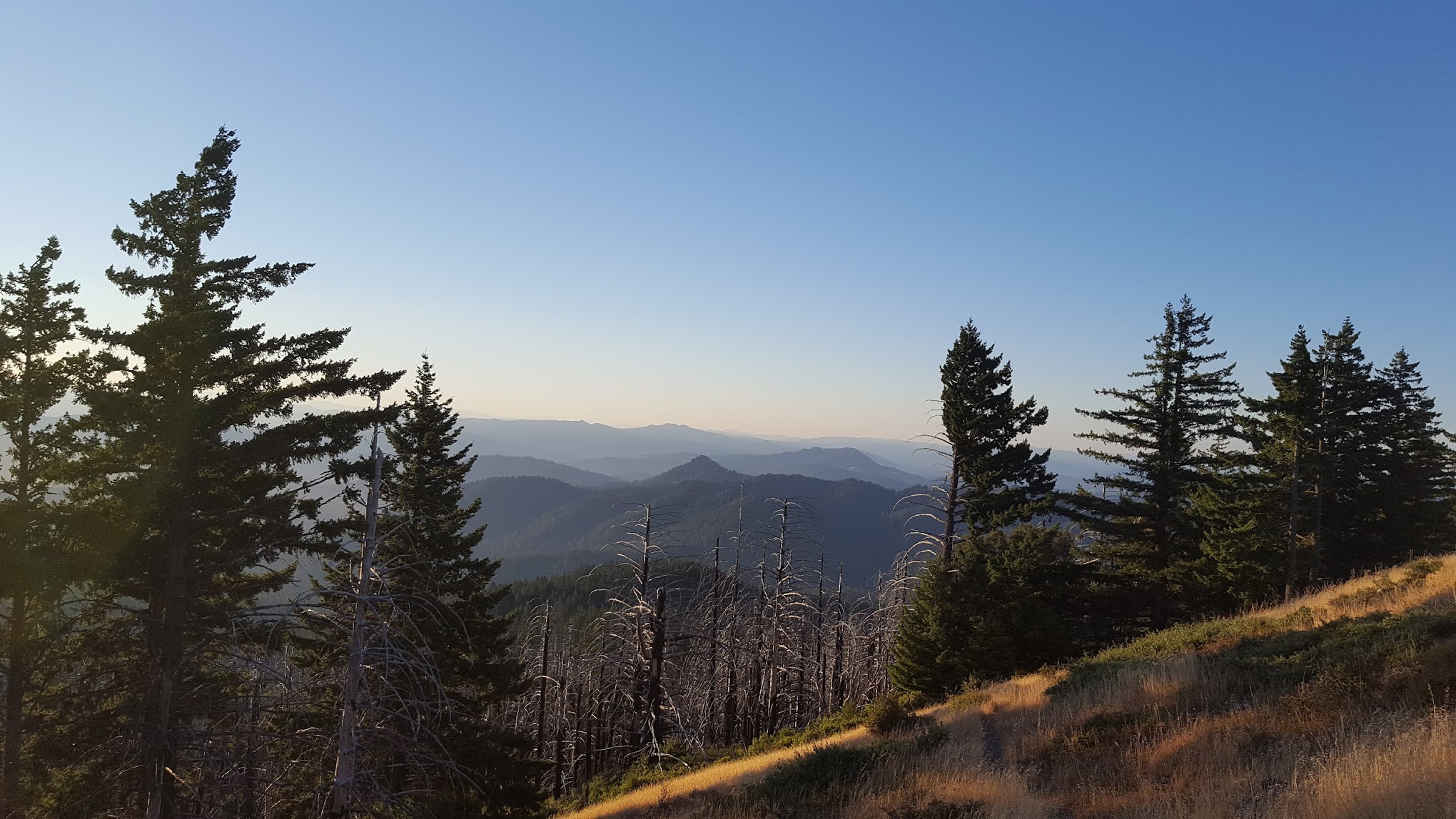 Grasshopper Peak Trail Camp