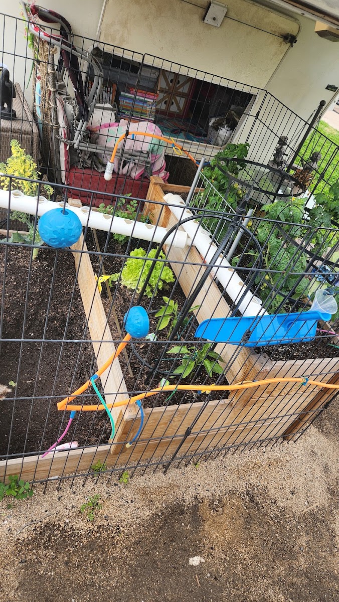 Desert Sands RV Park