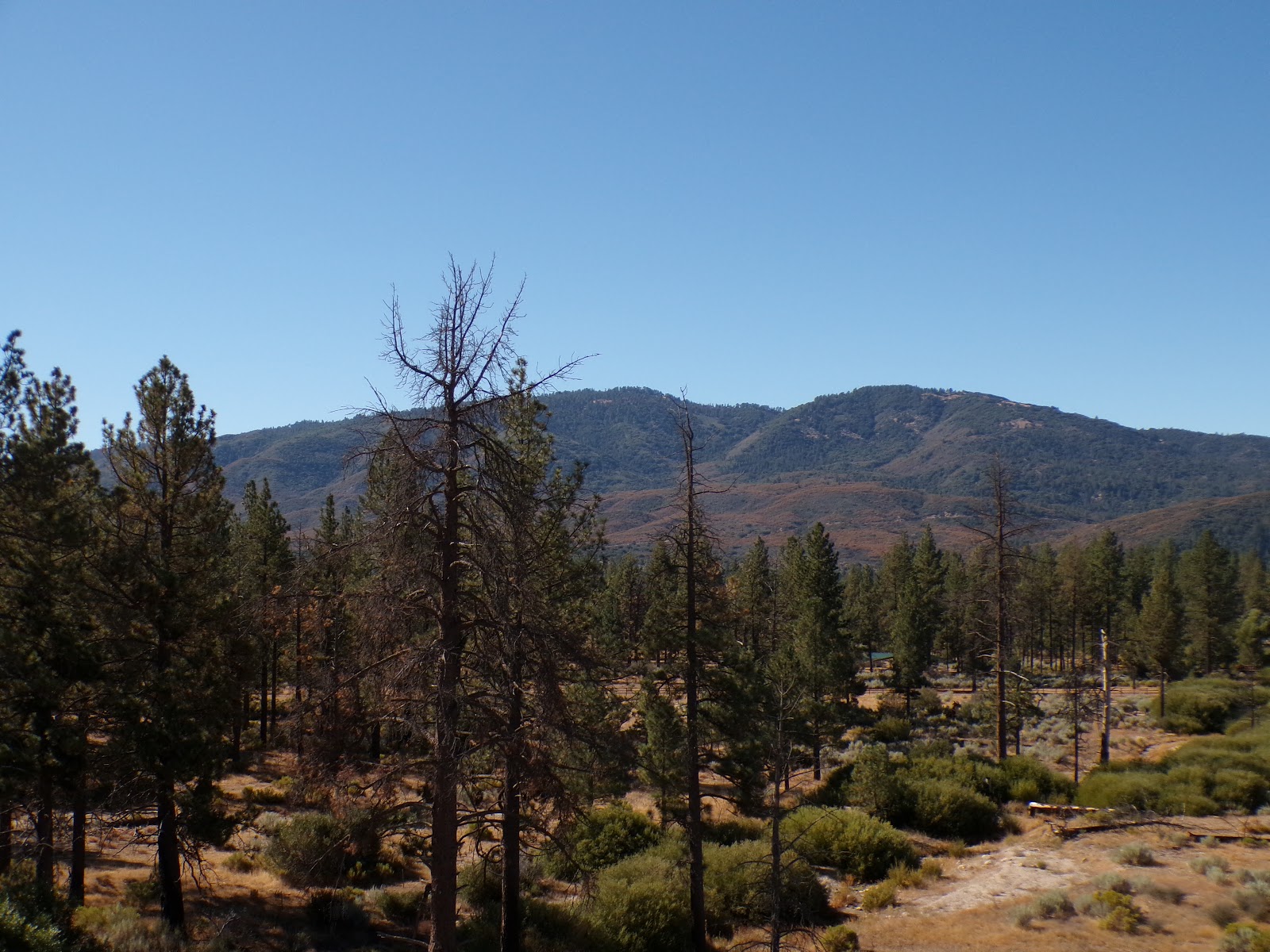 Apple Canyon Campground
