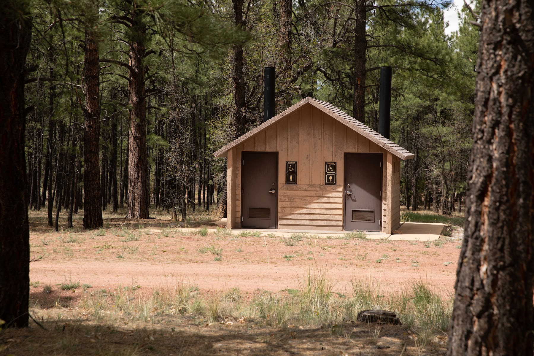 Quaking Aspen Campground