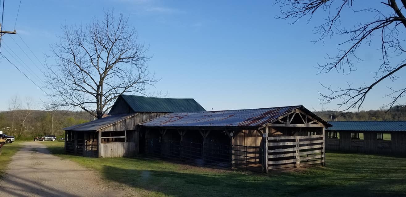 Horseshoe Holler Horse Camp