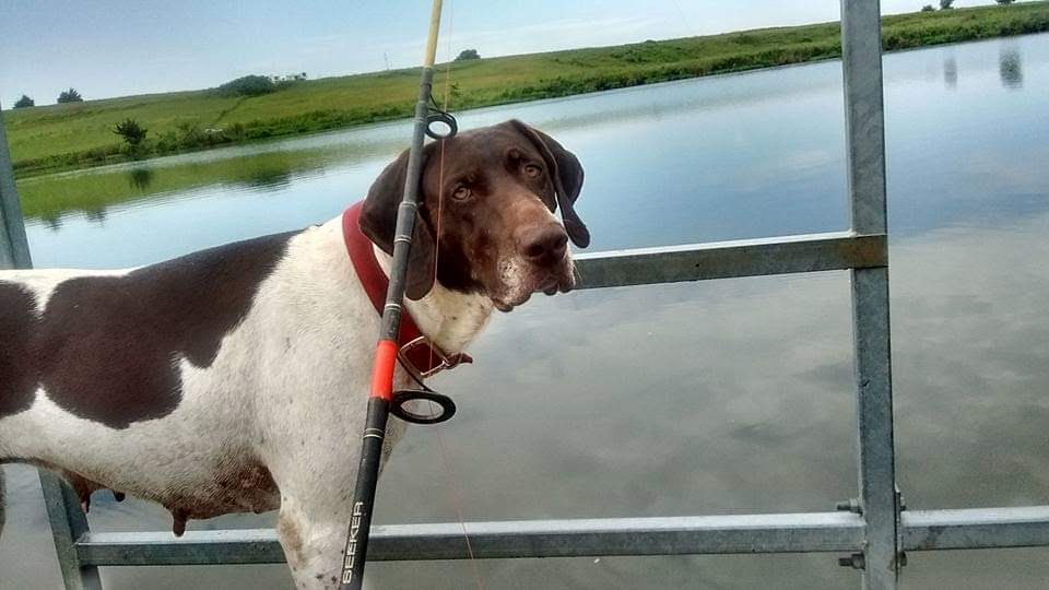 Site #11 - Centralia Lake