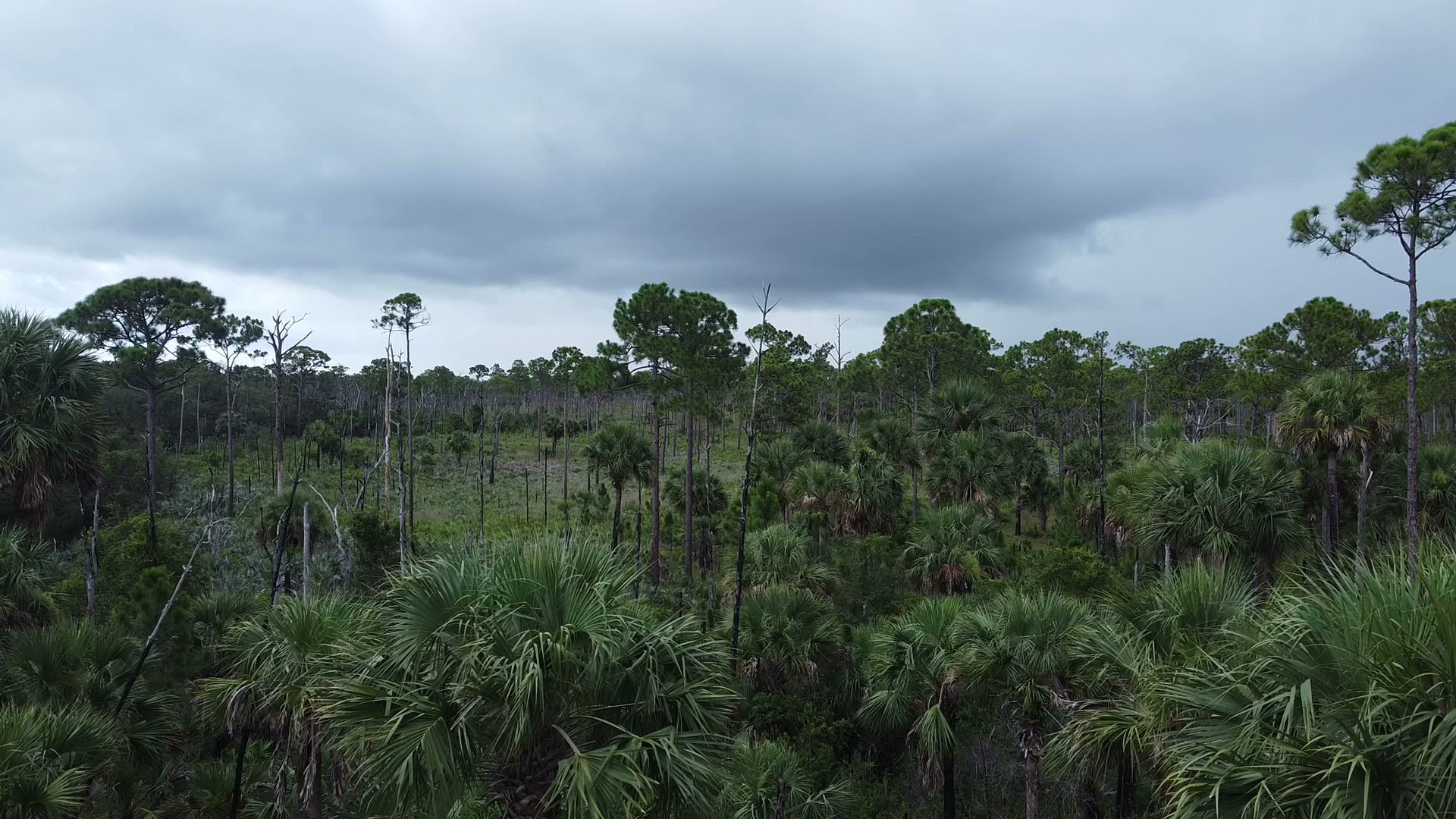Kitching Creek Campground
