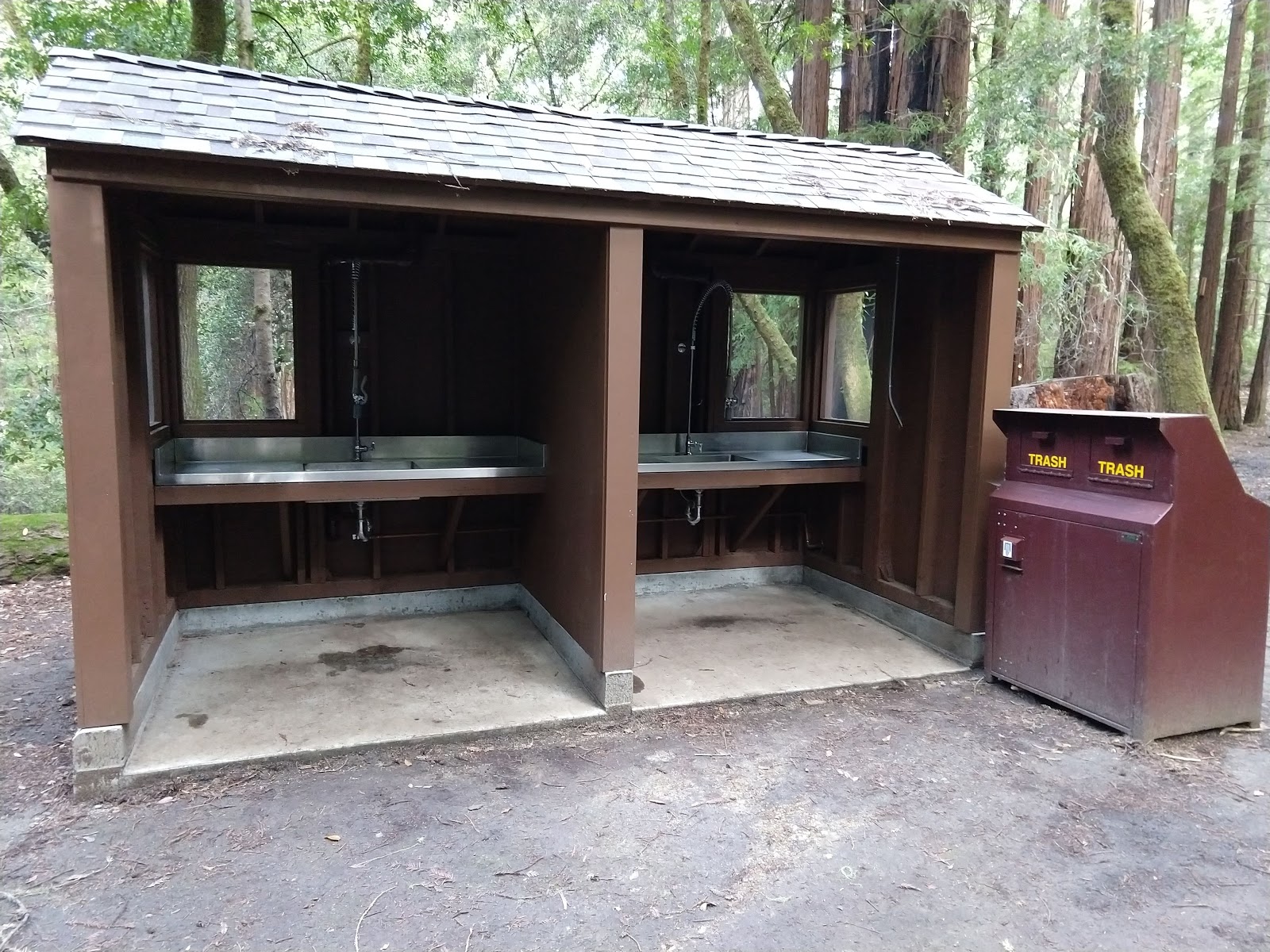 Point Group Camp, Portola Redwoods State Park