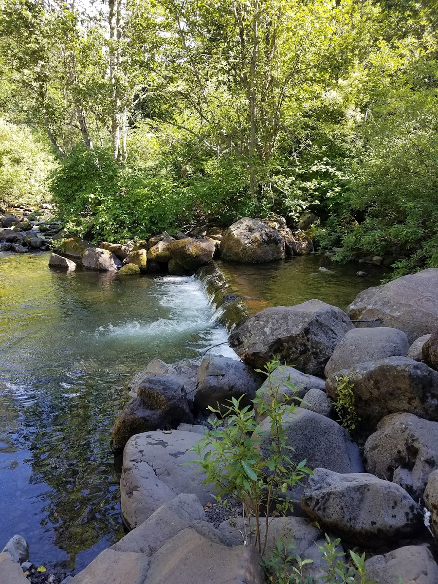 South Fork Campground