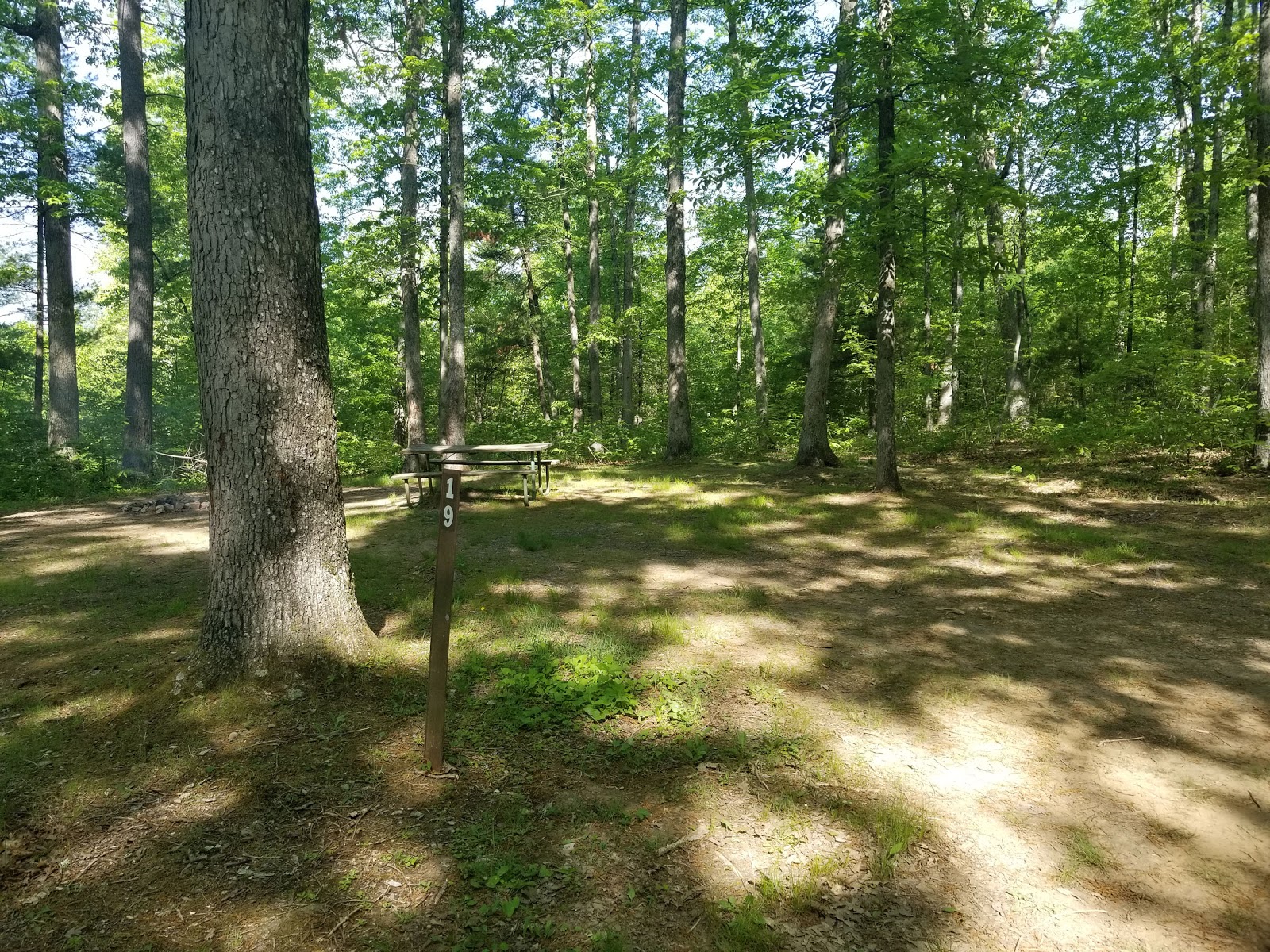 Green Ridge State Forest Campsite 19