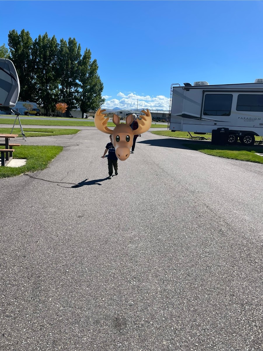 Willow Bay Long-term Campground