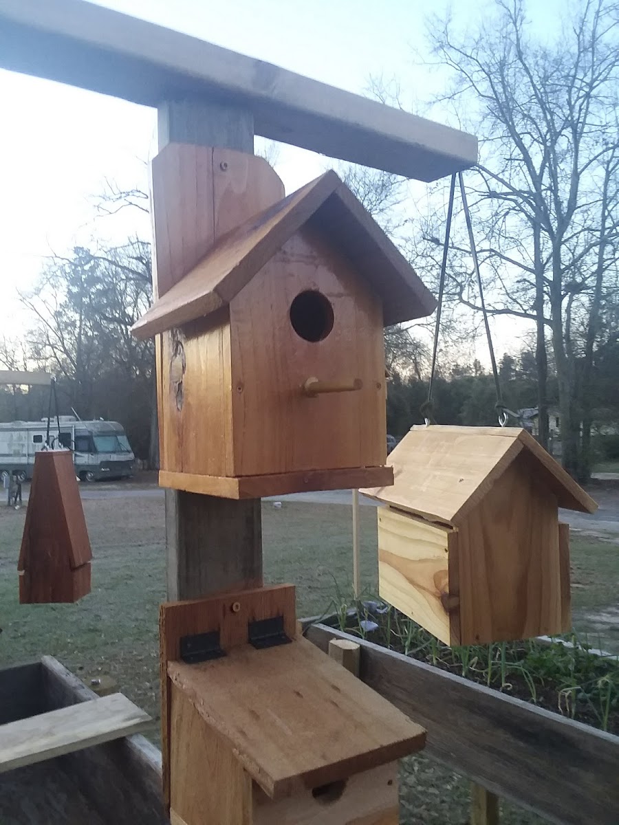 Peach Orchard RV Park & Campground