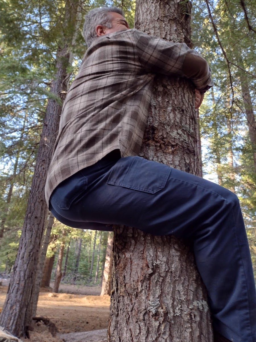 Bird Creek Campground