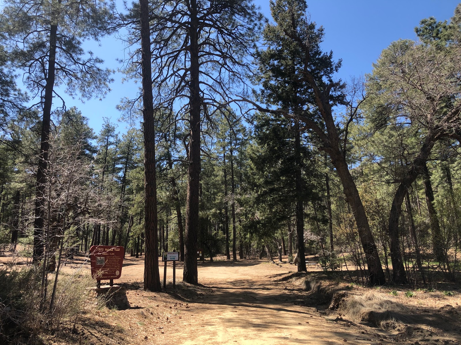 Sawmill Flats Campground