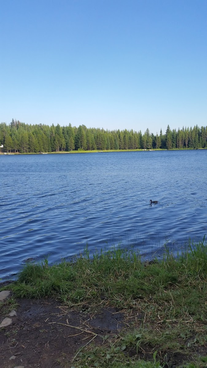 Penland Lake Campground