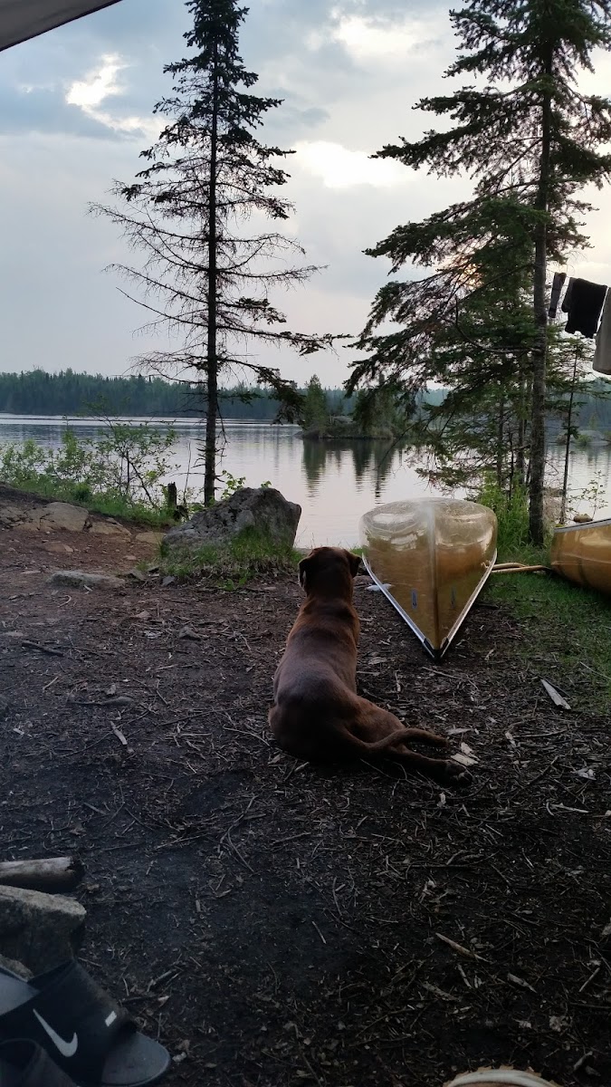 BWCA Campsite #910